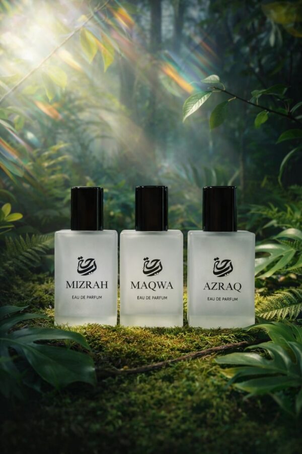 3 COMBO LAUNCHING OFFER